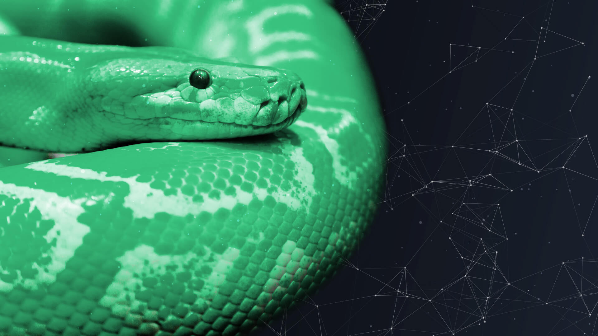 Python фото для презентации