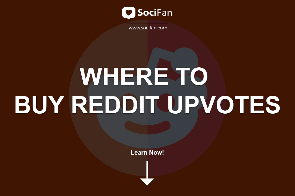 Where to Buy Reddit Upvotes