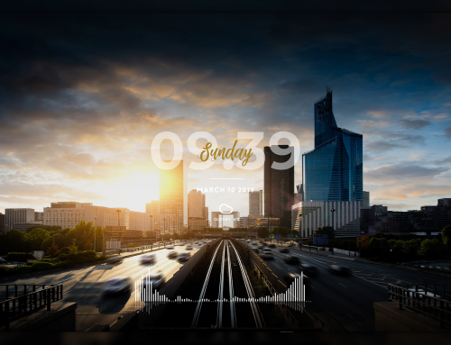 Robik For RainWallpaper