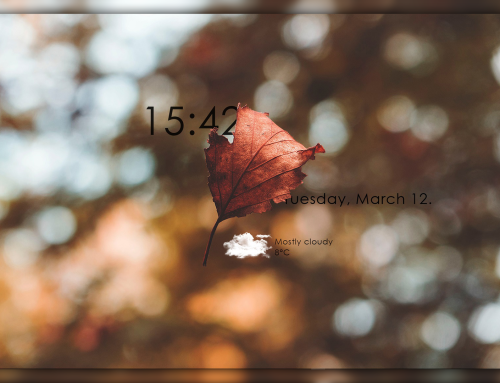 Lonlif for RainWallpaper